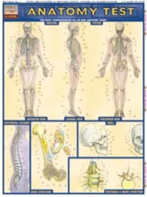 Anatomy Test - ebook